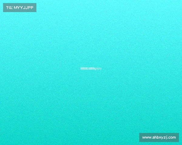 搏击赛事网;搏击赛事glory